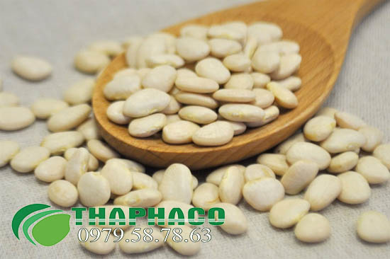 Đậu ván trắng tại THAPHACO