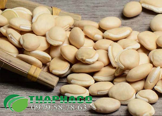 Đậu ván trắng tại THAPHACO