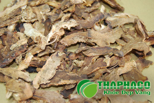 Địa Đu Khô Tại THAPHACO