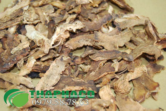Địa Đu Khô Tại THAPHACO