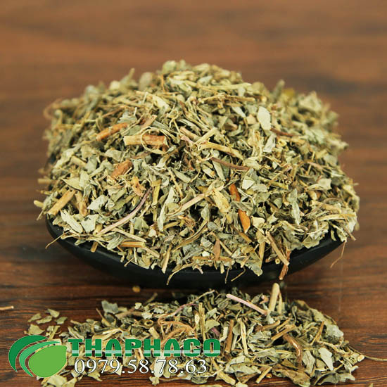 Chọn mua diệp hạ châu tại THAPHACO