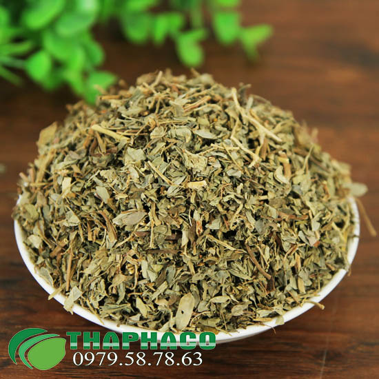 Mua sỉ diệp hạ châu tại TP.HCM ở THAPHACO