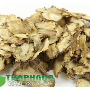 Độc Hoạt Tại THAPHACO