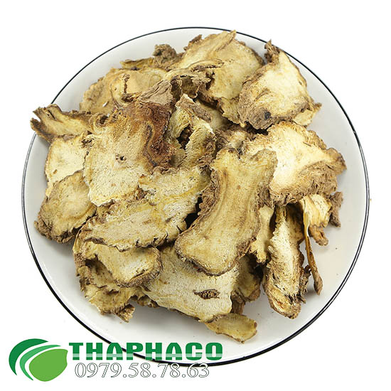 Độc Hoạt Tại THAPHACO 