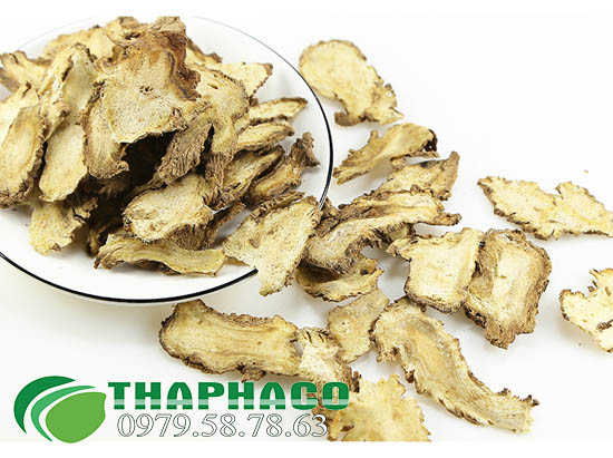 Độc Hoạt Tại THAPHACO 