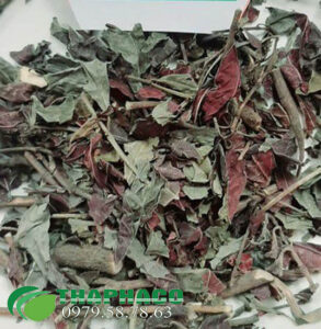 Bán Sỉ Đơn Lá Đỏ Tại TP.HCM