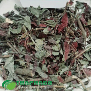 Bán Sỉ Đơn Lá Đỏ Tại TP.HCM