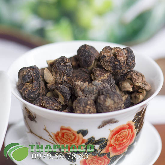 Bán Sỉ Du Cam Tử Tại TP.HCM