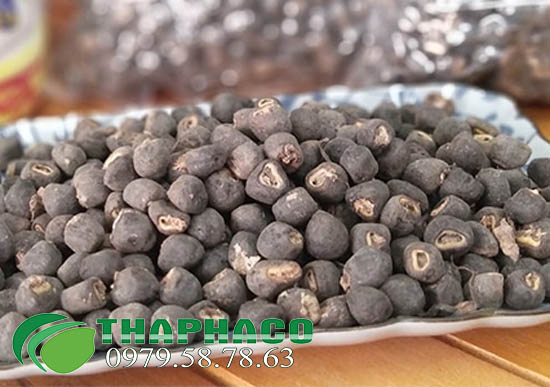 Địa Chỉ Bán Sỉ Hạt Chuối Cô Đơn Tại THAPHACO