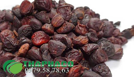 Hạt Dổi THAPHACO