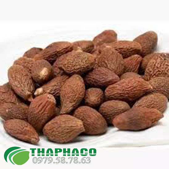 Bán Sỉ Hạt Ươi Bay Tại TP.HCM