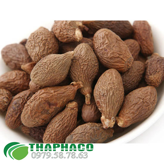 THAPHACO Là Địa Chỉ Bán Sỉ Hạt Ươi Bay Tại TP.HCM Uy Tín