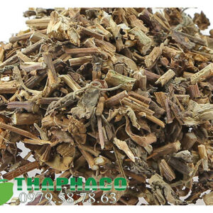 Hoắc Hương Khô Tại THAPHACO