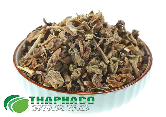 Hoắc Hương Khô Tại THAPHACO
