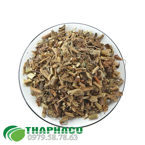 Hoắc Hương Khô Tại THAPHACO