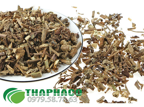 Hoắc Hương Khô Tại THAPHACO
