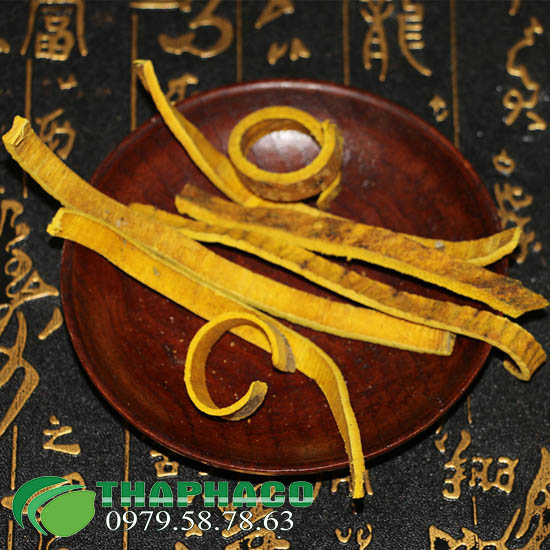 Hoàng bá tại TP.HCM