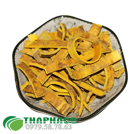 Hoàng bá tại TP.HCM