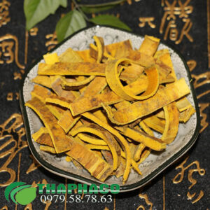 Bán Sỉ Hoàng Bá Tại TP.HCM