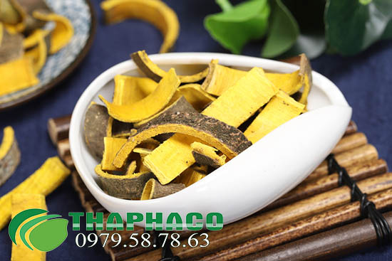 Bán Sỉ Hoàng Bá Tại TP.HCM