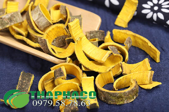 Hoàng bá tại TP.HCM