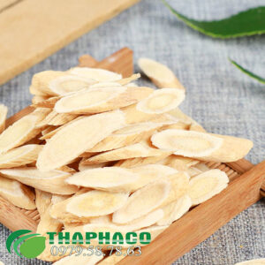 Địa chỉ bán sỉ hoàng kỳ tại TP.HCM