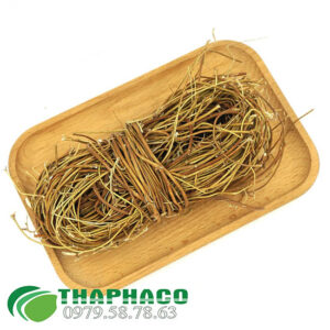Kê Cốt Thảo THAPHACO