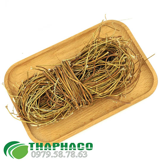 Kê Cốt Thảo THAPHACO