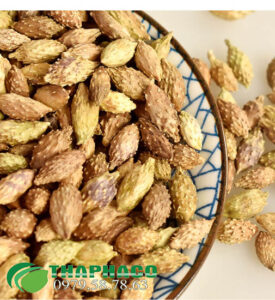 Bán Sỉ Ké Đầu Ngựa Tại TP.HCM