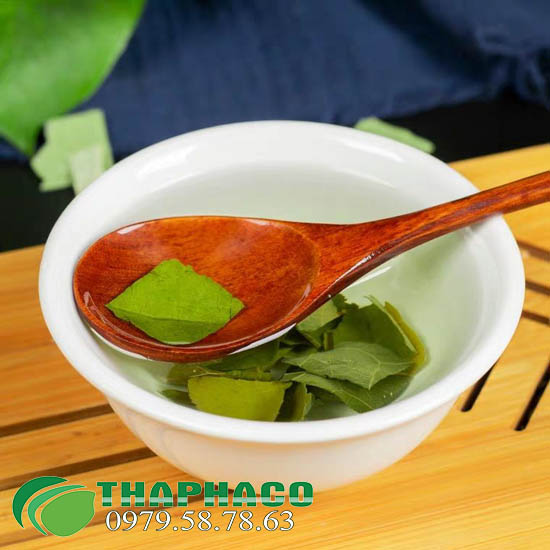 Bán Sỉ Lá Sen Tại TP.HCM