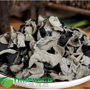 Mọc Nhỉ Rừng THAPHACO