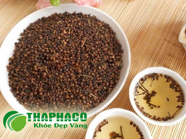 nụ vối THAPHACO