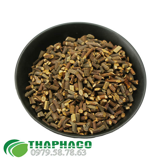 Quế Chi Tại THAPHACO