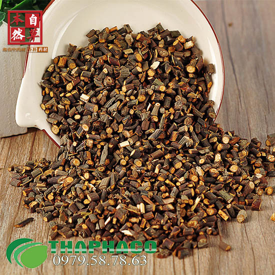 Quế Chi Tại THAPHACO