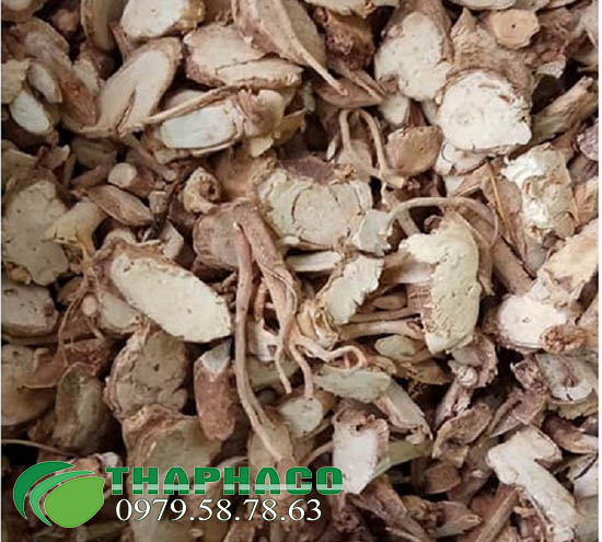 Rễ Đinh Lăng Chất Lượng Cao Tại TP.HCM
