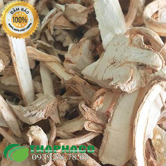 Rễ Đinh Lăng Chất Lượng Cao Tại TP.HCM