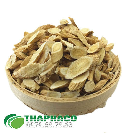 Sa sâm tại TP.HCM