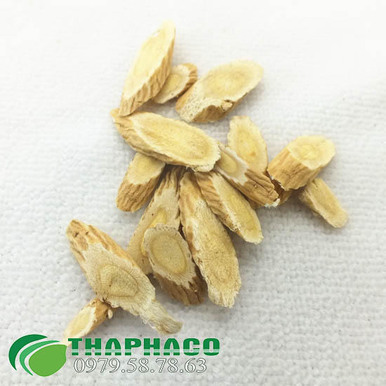 Sa sâm tại TP.HCM