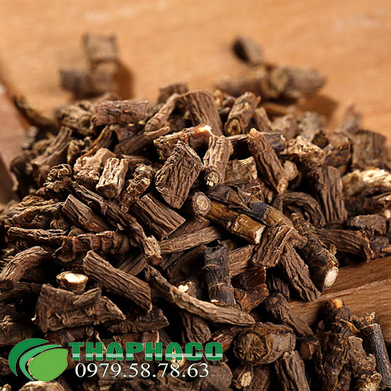 Sài Hồ Tại THAPHACO