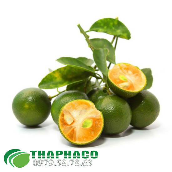 Tắc Tươi Tại TP.HCM