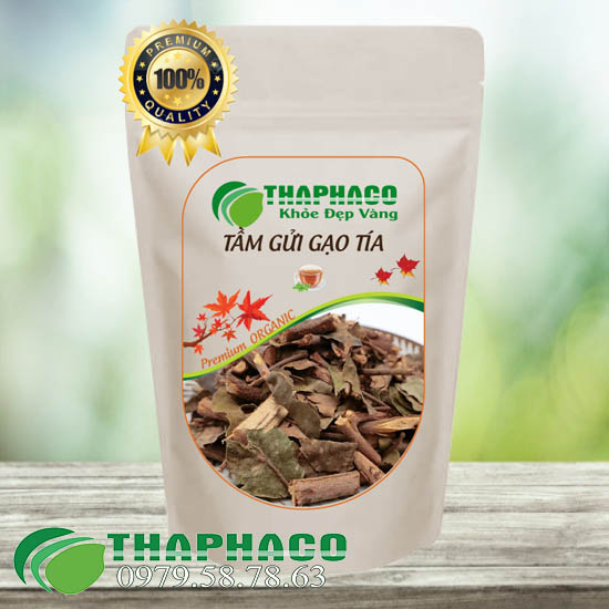 Tầm Gửi Gạo Tía Tại TP.HCM