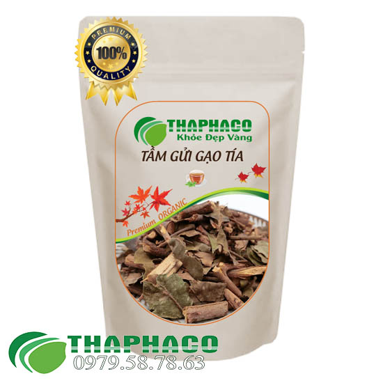 Tầm Gửi Gạo Tía Tại TP.HCM