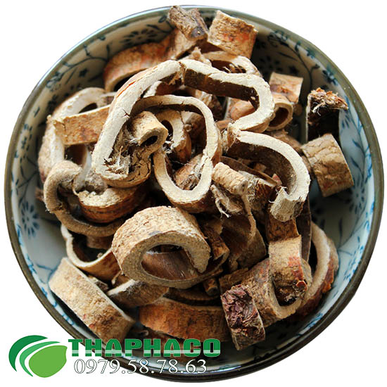 Tăng bạch bì tại TP.HCM