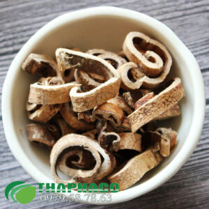 Tăng bạch bì tại TP.HCM