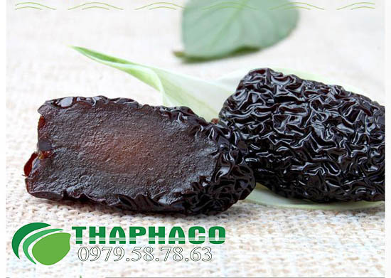 Đại táo của THAPHACO