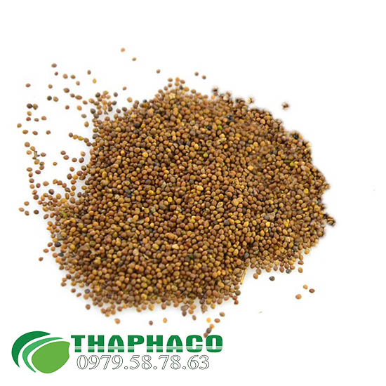 Bán Sỉ Thỏ Ty Tử Tại TP.HCM