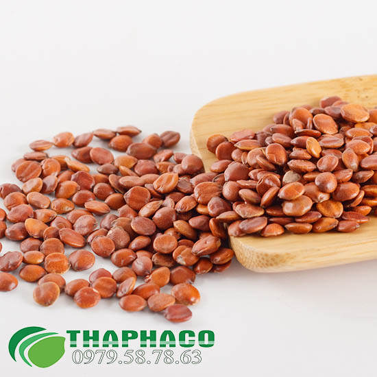 Toan táo nhân tại TP.HCM