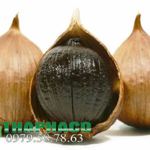 Bán Sỉ Tỏi Đen Lý Sơn Tại TP.HCM