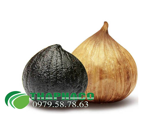 Bán Sỉ Tỏi Đen Lý Sơn Tại TP.HCM