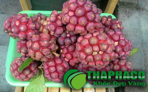 Tứn Khửn Tại TP.HCM